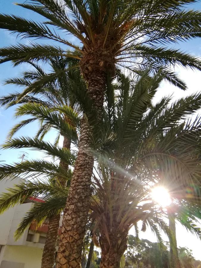 Cozy Apartment With Amazing Views To Garden Next To The Ocean Costa Del Silencio Buitenkant foto
